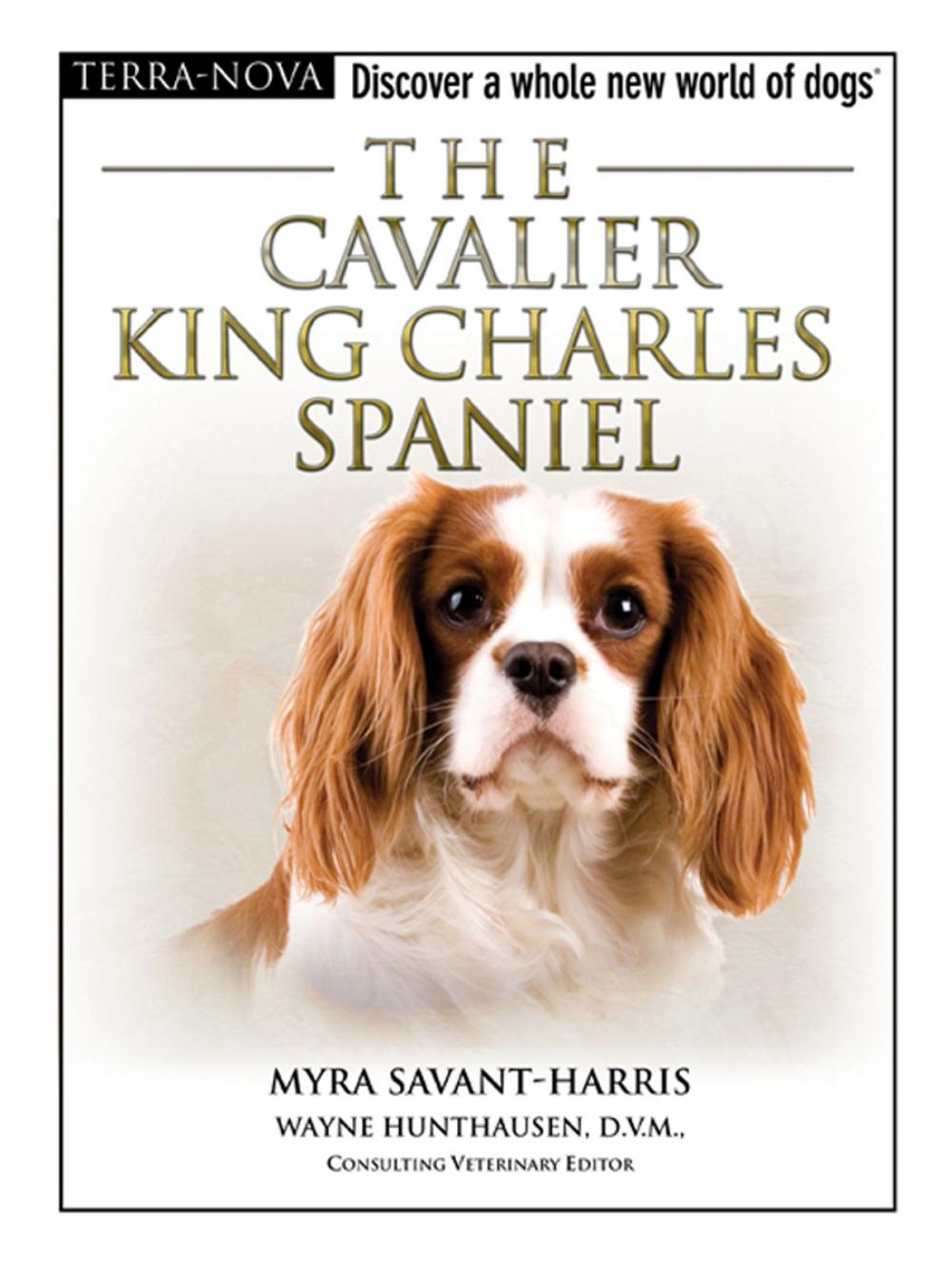 Big bigCover of The Cavalier King Charles Spaniel