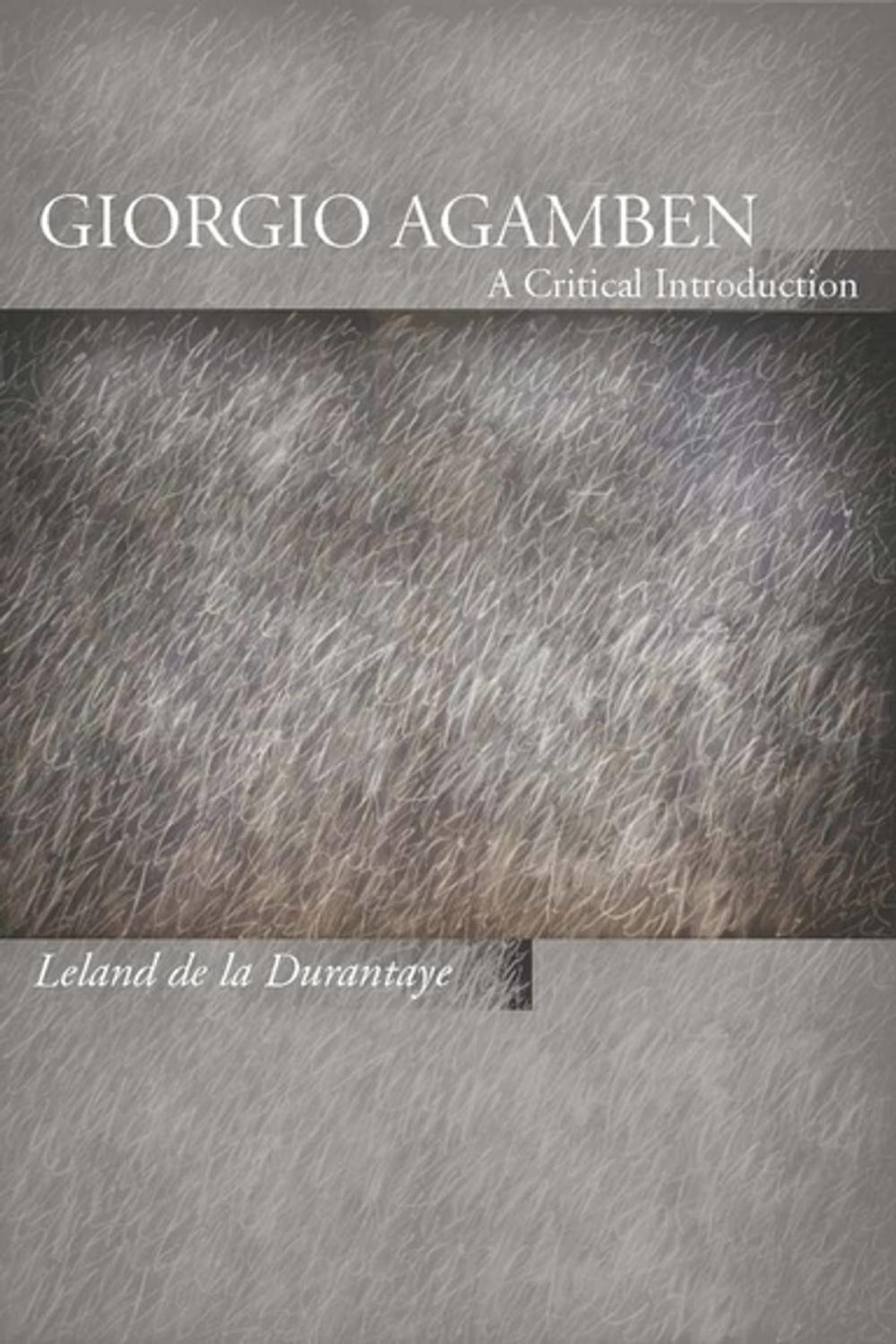 Big bigCover of Giorgio Agamben