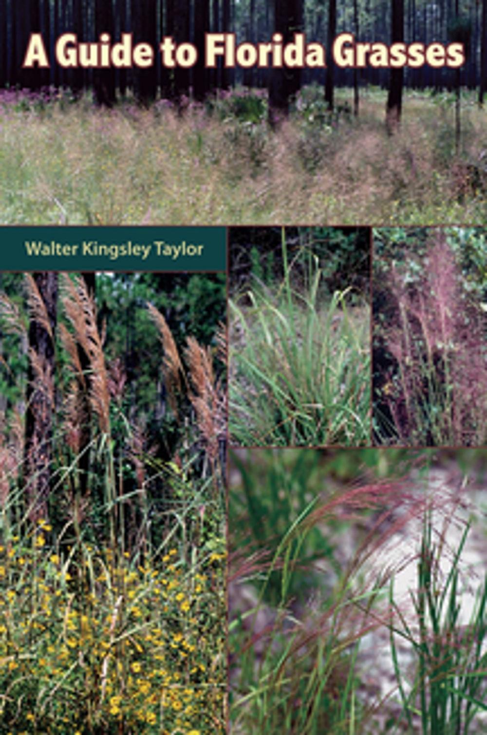 Big bigCover of A Guide to Florida Grasses