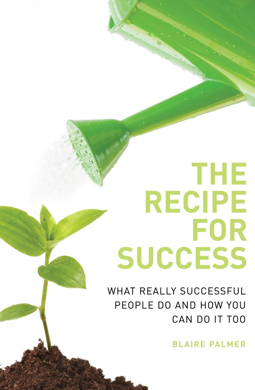 Big bigCover of The Recipe for Success