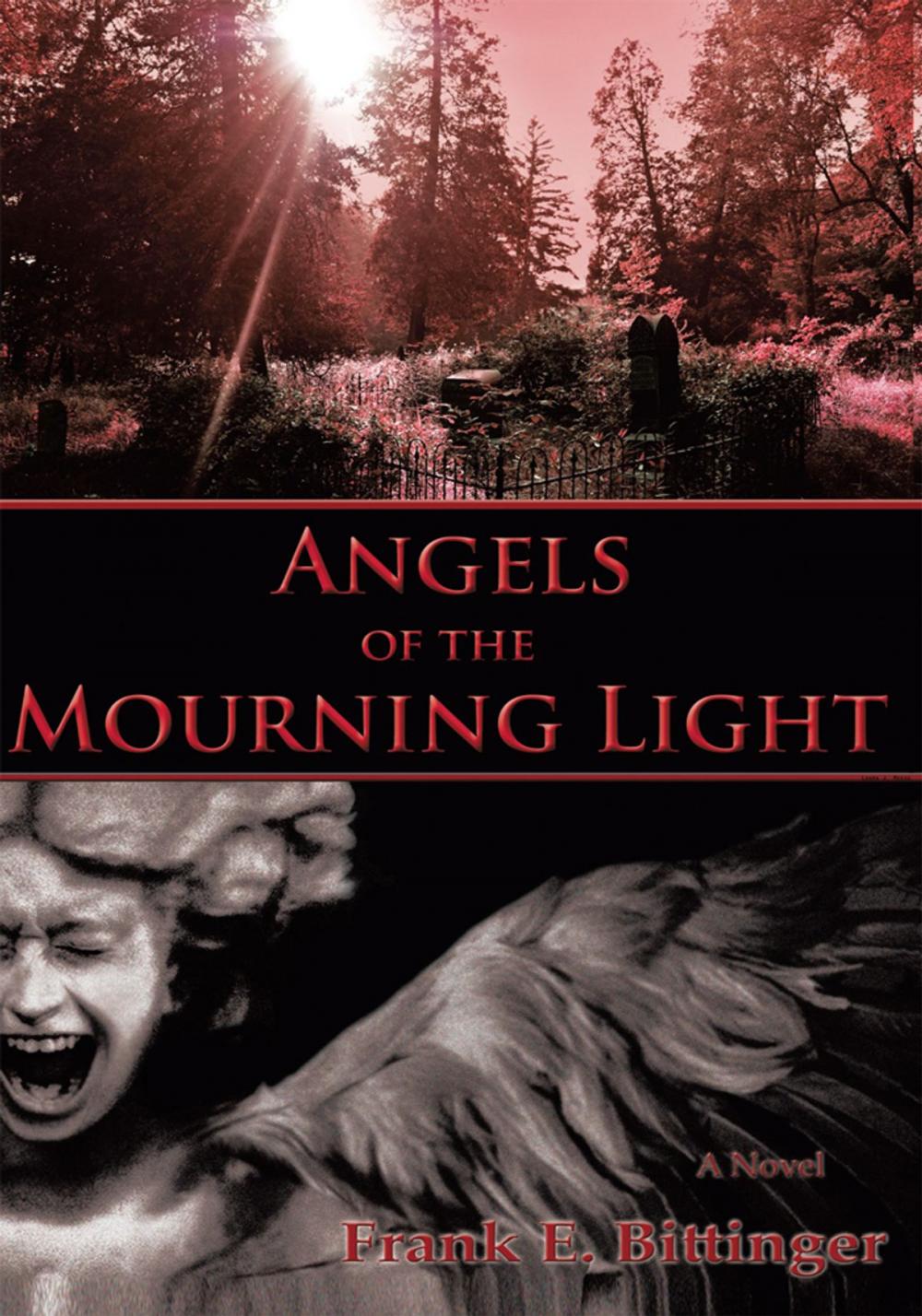 Big bigCover of Angels of the Mourning Light