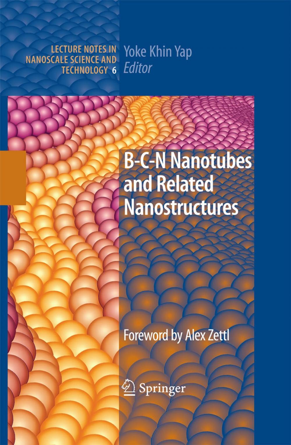 Big bigCover of B-C-N Nanotubes and Related Nanostructures