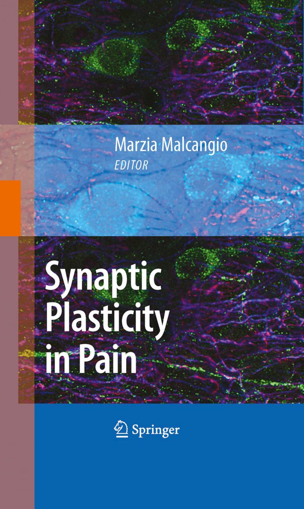 Big bigCover of Synaptic Plasticity in Pain