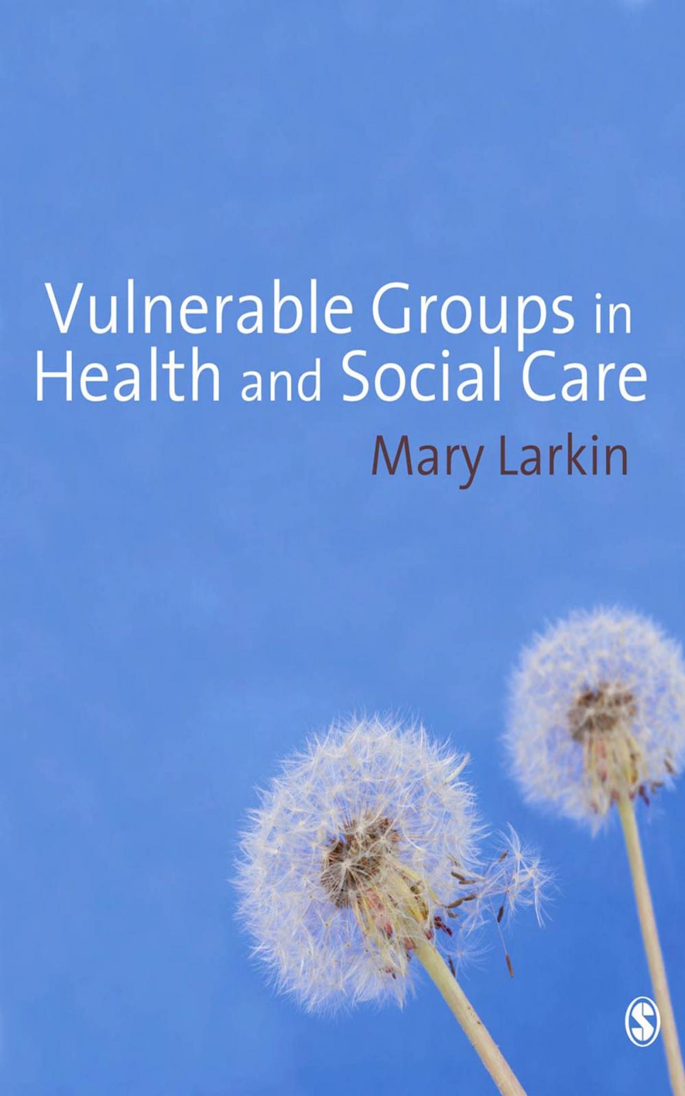 Big bigCover of Vulnerable Groups in Health and Social Care