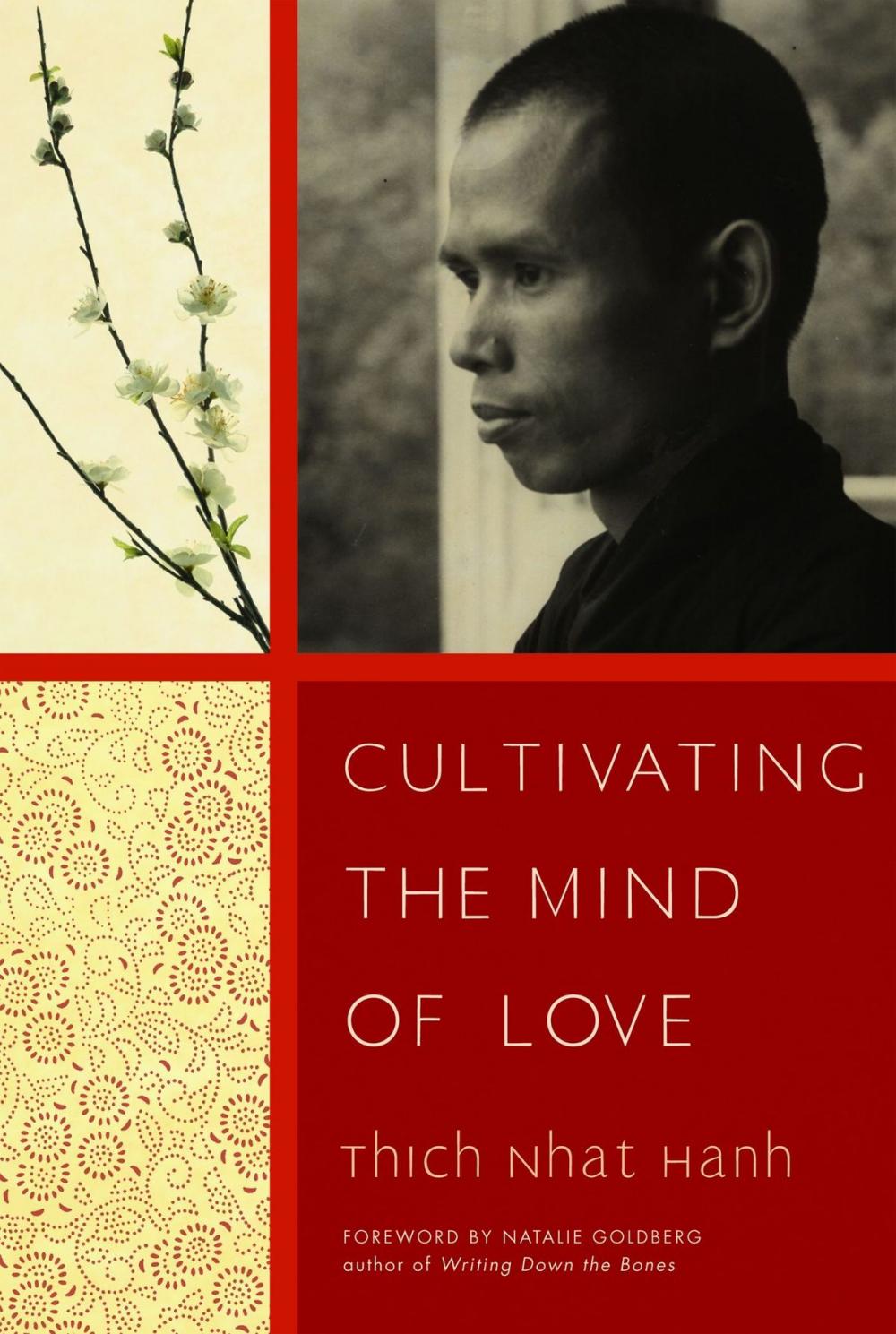 Big bigCover of Cultivating the Mind of Love