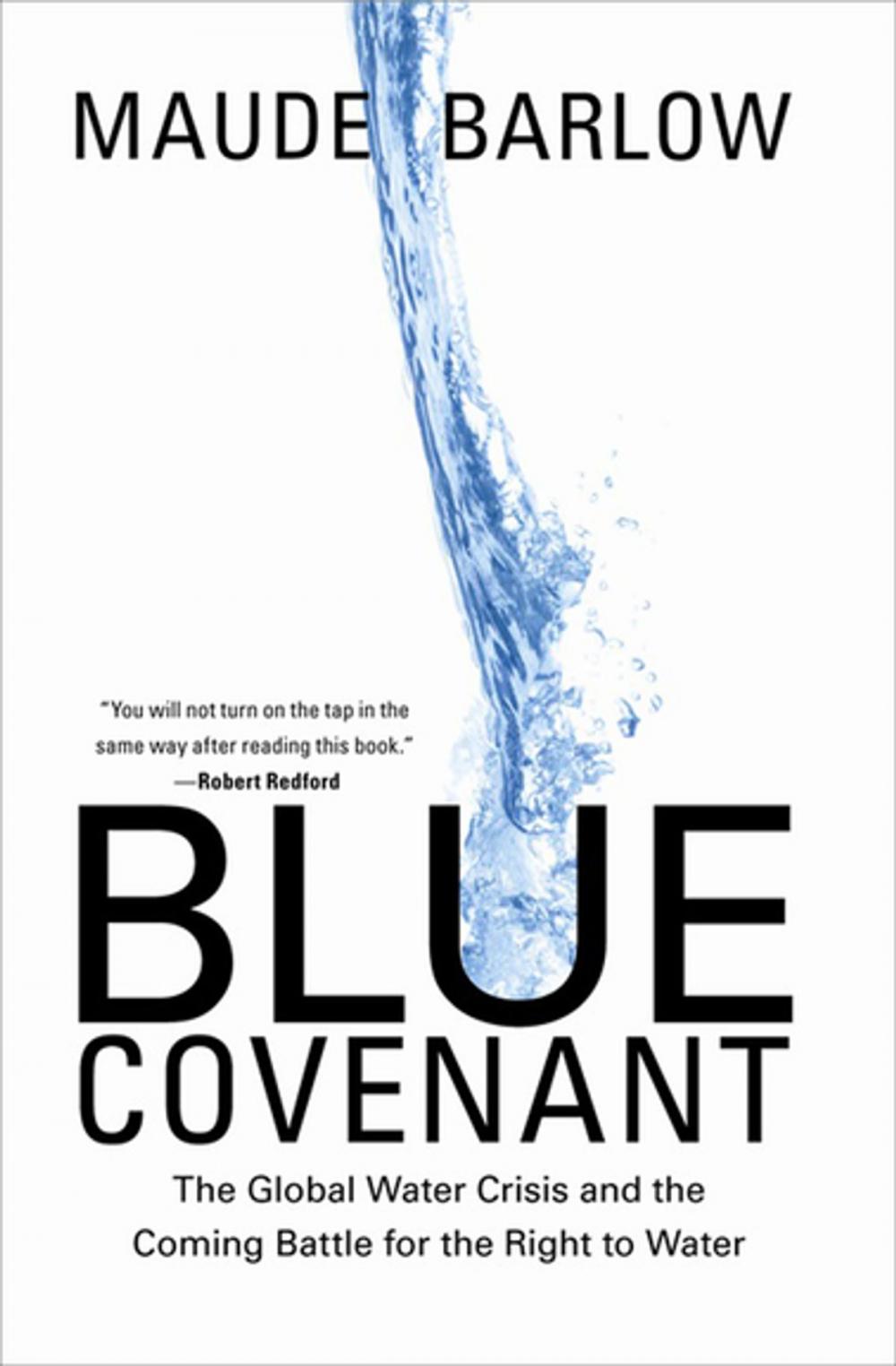 Big bigCover of Blue Covenant