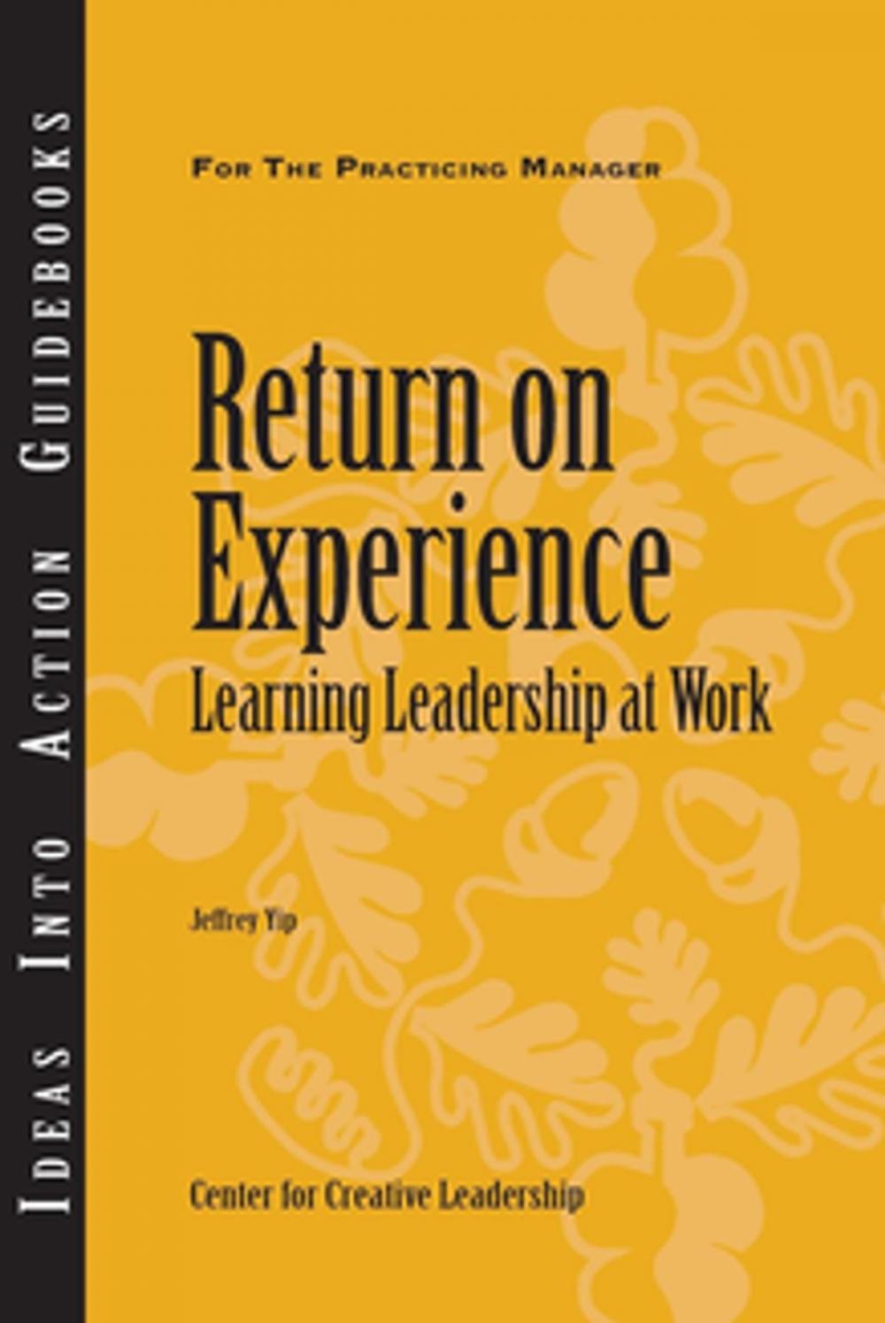 Big bigCover of Return on Experience: Learning Leadership at Work