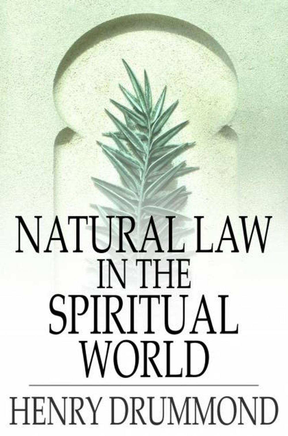 Big bigCover of Natural Law in the Spiritual World