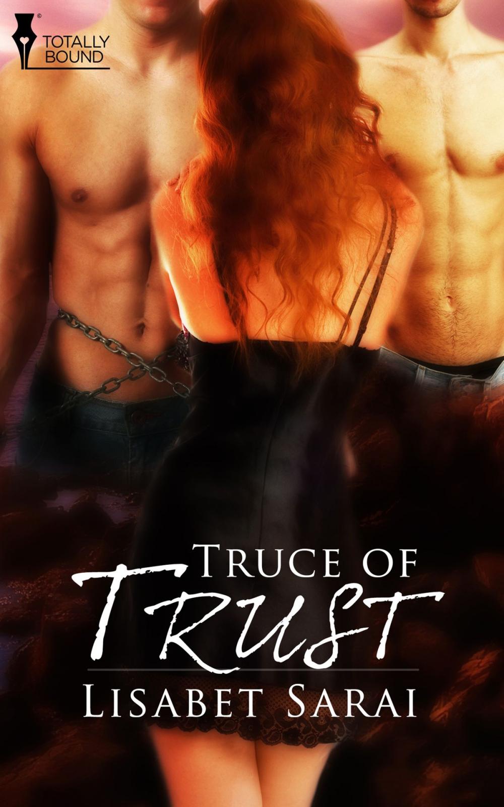 Big bigCover of Truce of Trust