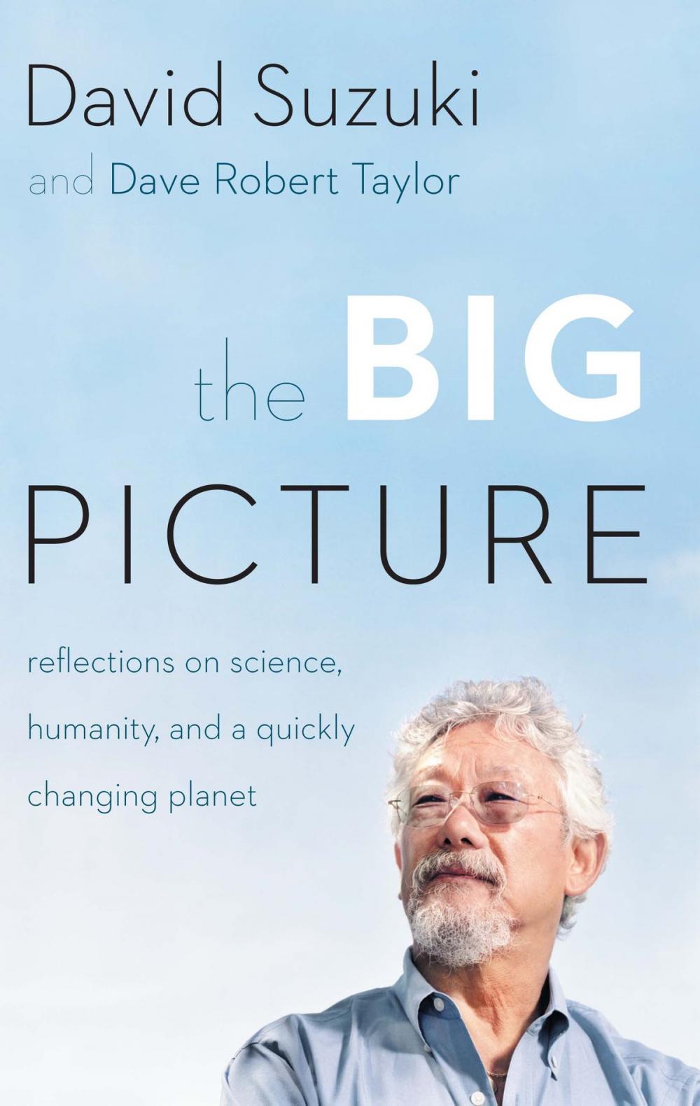 Big bigCover of The Big Picture
