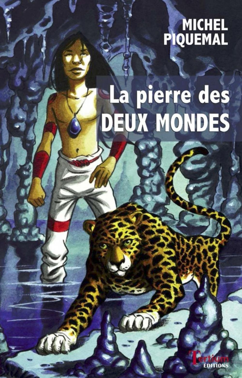 Big bigCover of La pierre des deux mondes