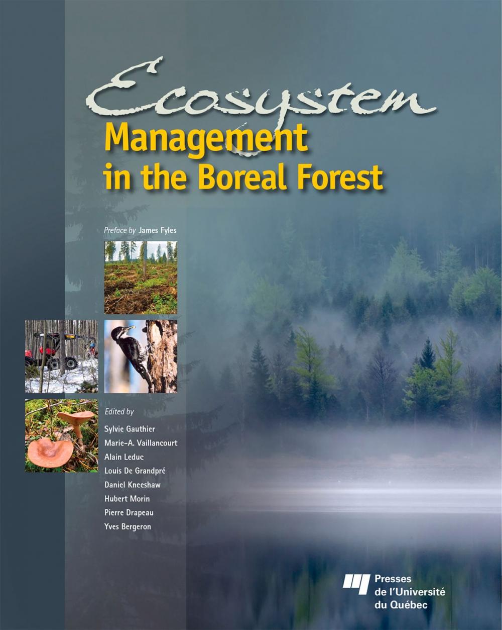 Big bigCover of Ecosystem Management in the Boreal Forest