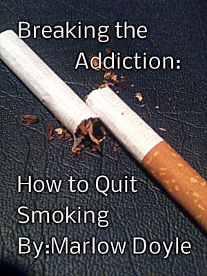 Cover of the book Breaking the Addiction: How to Quit Smoking by Lisa London