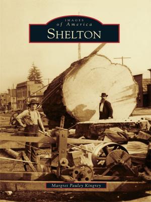 Cover of the book Shelton by Phil Carlucci