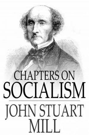 bigCover of the book Chapters on Socialism by 
