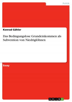 Cover of the book Das Bedingungslose Grundeinkommen als Subvention von Niedriglöhnen by René Feldvoß