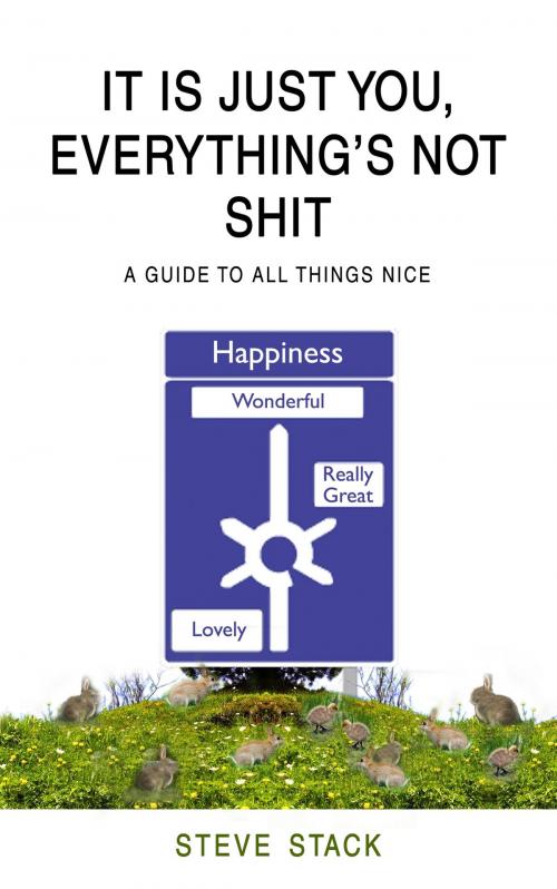 Cover of the book It Is Just You, Everything’s Not Shit by Steve Stack, HarperCollins Publishers
