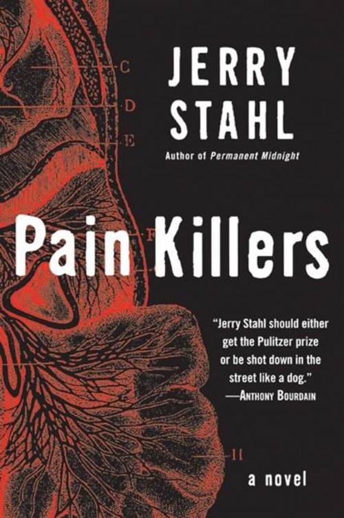 Cover of the book Pain Killers by Jerry Stahl, William Morrow