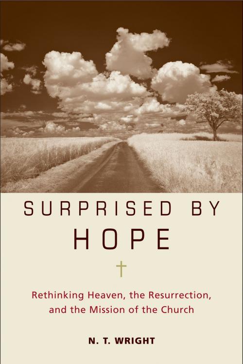 Cover of the book Surprised by Hope by N. T. Wright, HarperOne