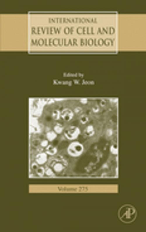 Cover of the book International Review of Cell and Molecular Biology by , Elsevier Science