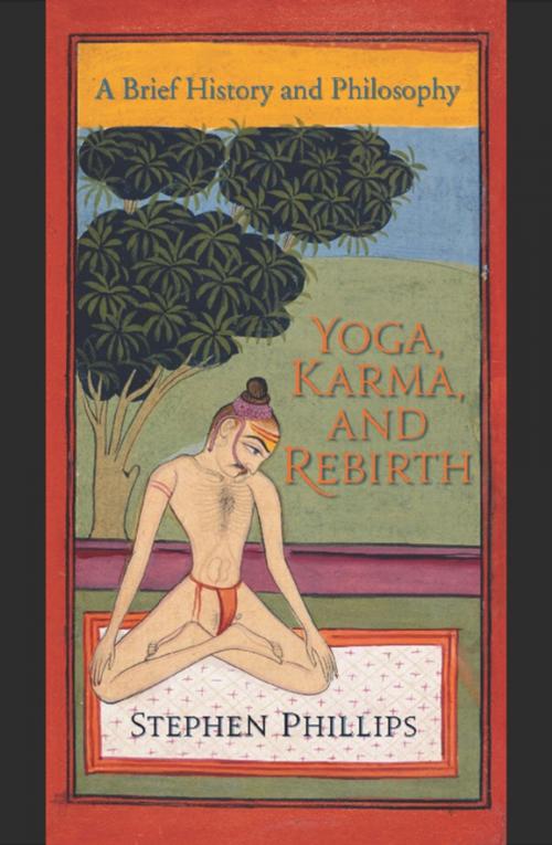 Cover of the book Yoga, Karma, and Rebirth by Stephen Phillips, Columbia University Press