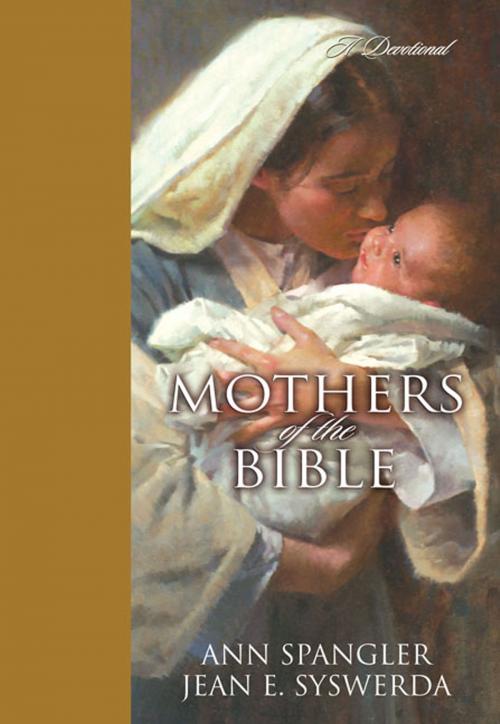 Cover of the book Mothers of the Bible by Ann Spangler, Jean E. Syswerda, Zondervan