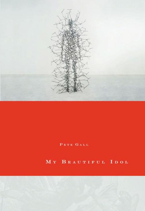 Cover of the book My Beautiful Idol by Pete Gall, Zondervan