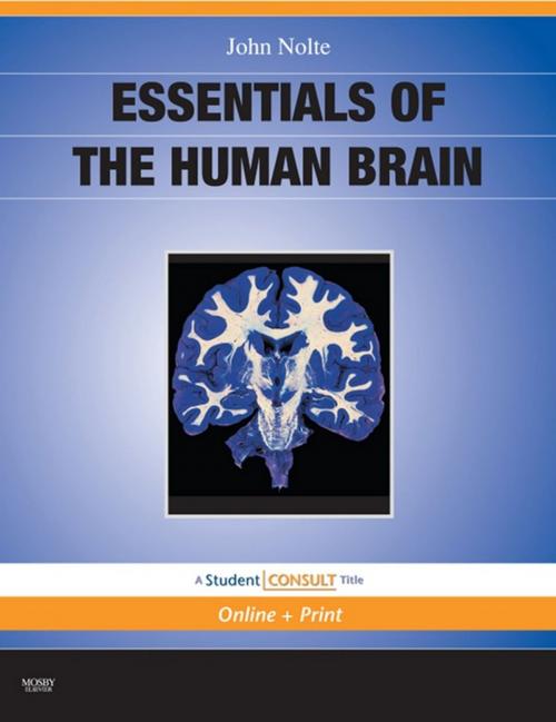 Cover of the book Essentials of the Human Brain E-Book by John Nolte, PhD<br>PhD, Elsevier Health Sciences