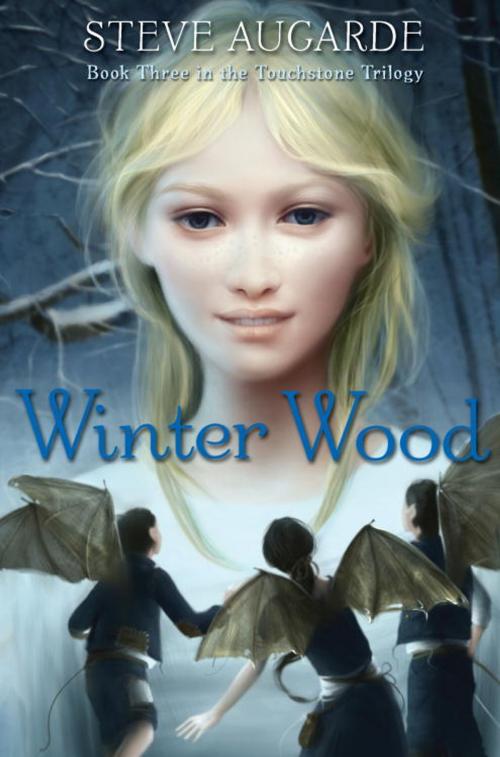 Cover of the book Winter Wood by Steve Augarde, Random House Children's Books