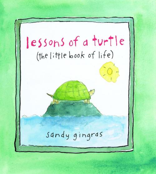 Cover of the book Lessons of a Turtle by Sandy Gingras, Andrews McMeel Publishing