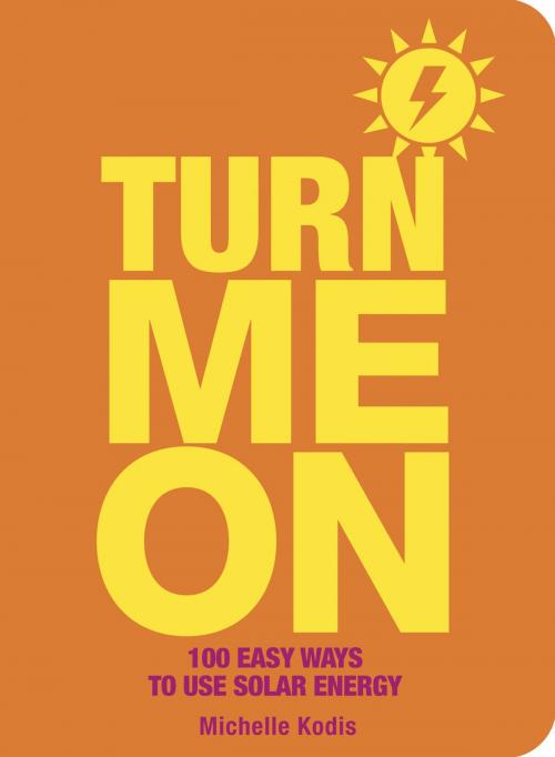 Cover of the book Turn Me On by Michelle Kodis, Gibbs Smith