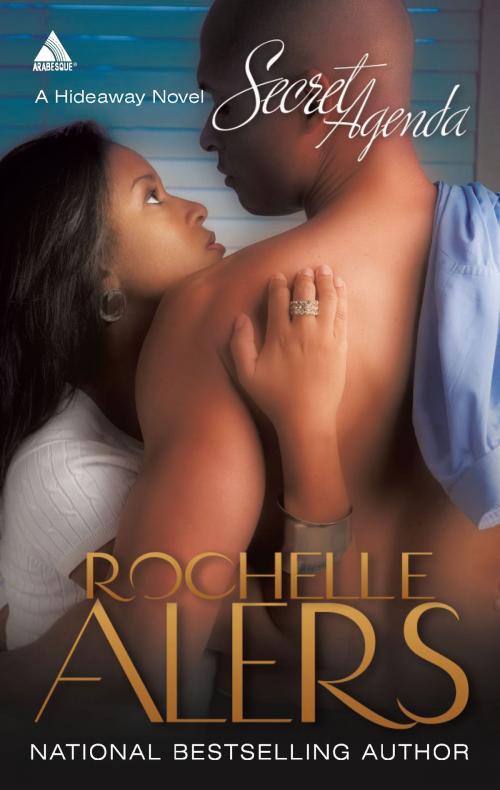 Cover of the book Secret Agenda by Rochelle Alers, Harlequin