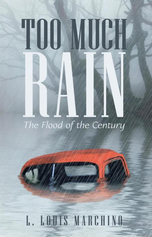 Cover of the book Too Much Rain by L. Louis Marchino, iUniverse