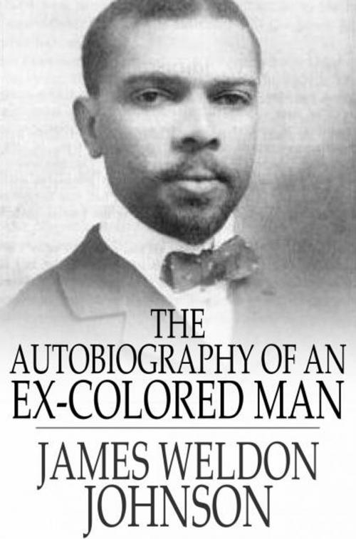 Cover of the book The Autobiography of an Ex-Colored Man by James Weldon Johnson, The Floating Press