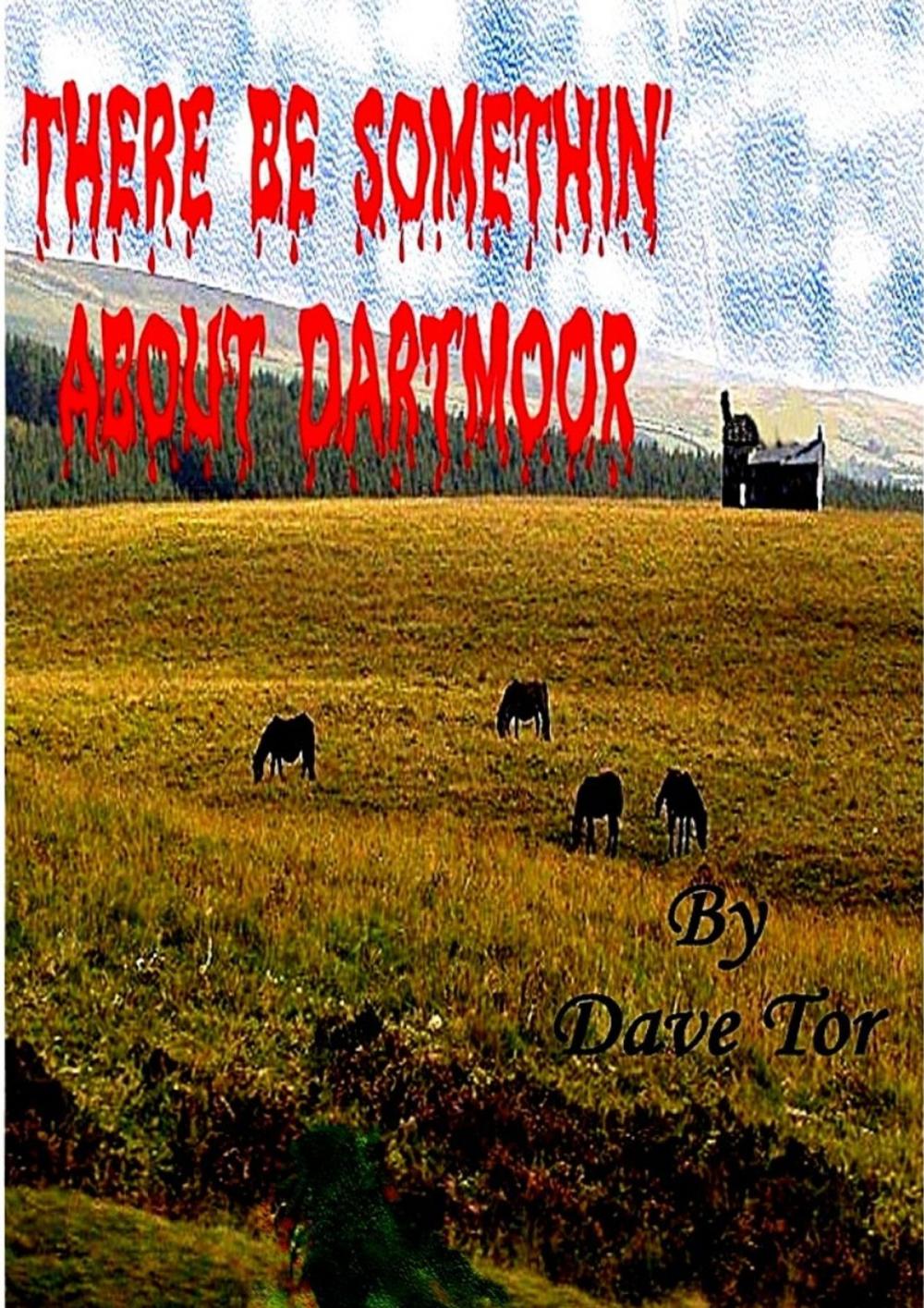 Big bigCover of There Be Somethin' About Dartmoor