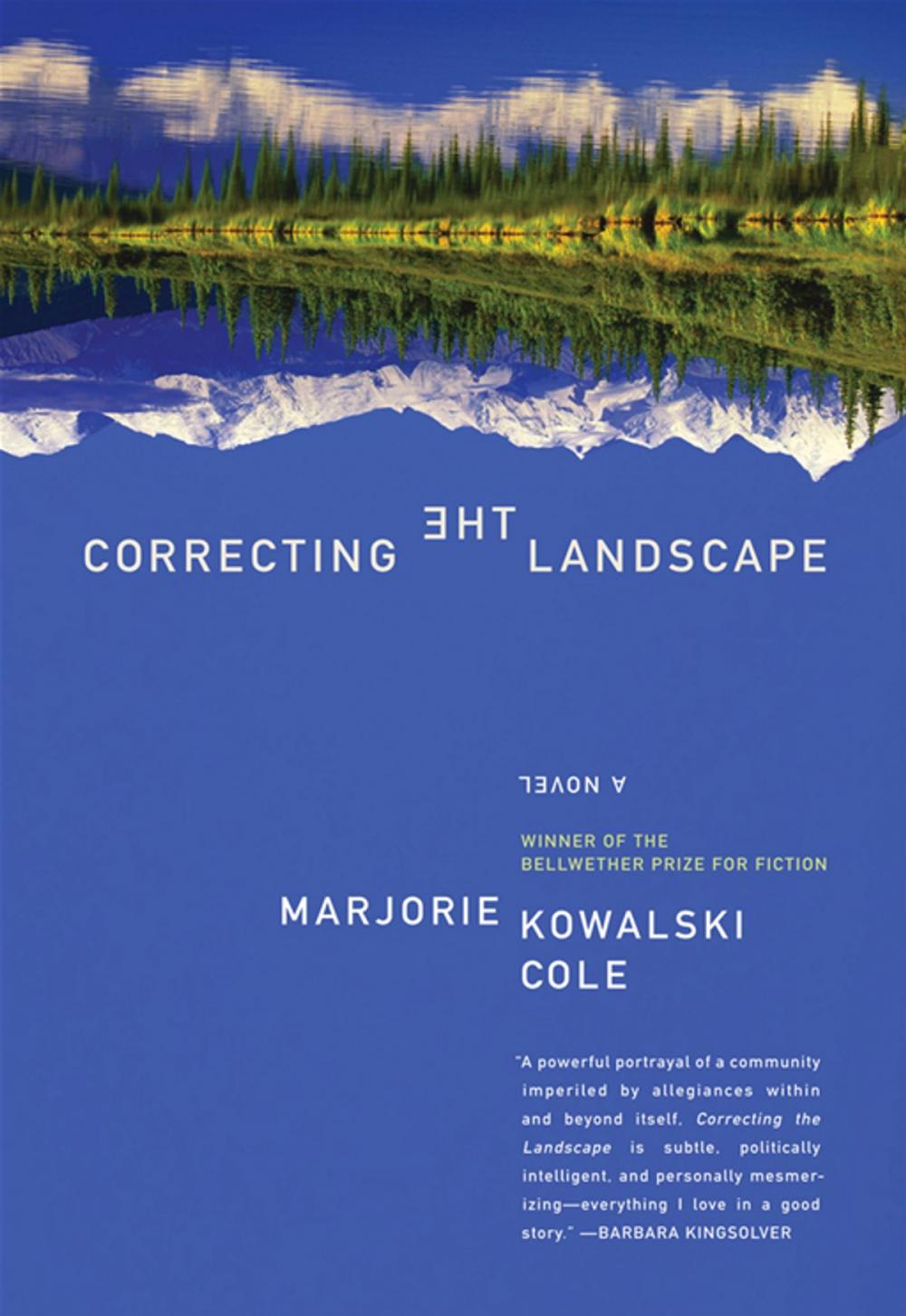 Big bigCover of Correcting the Landscape