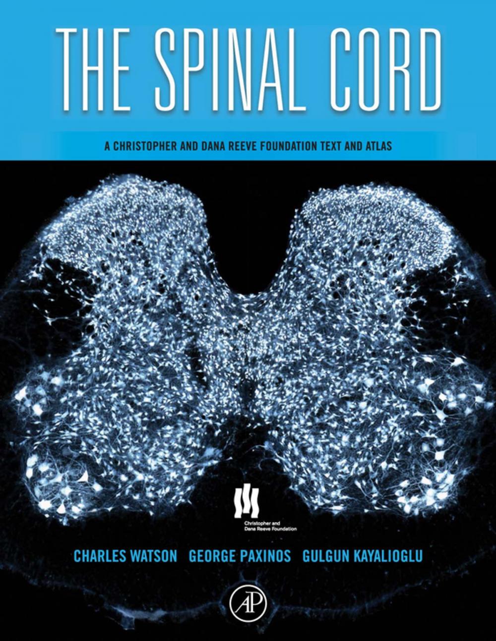 Big bigCover of The Spinal Cord