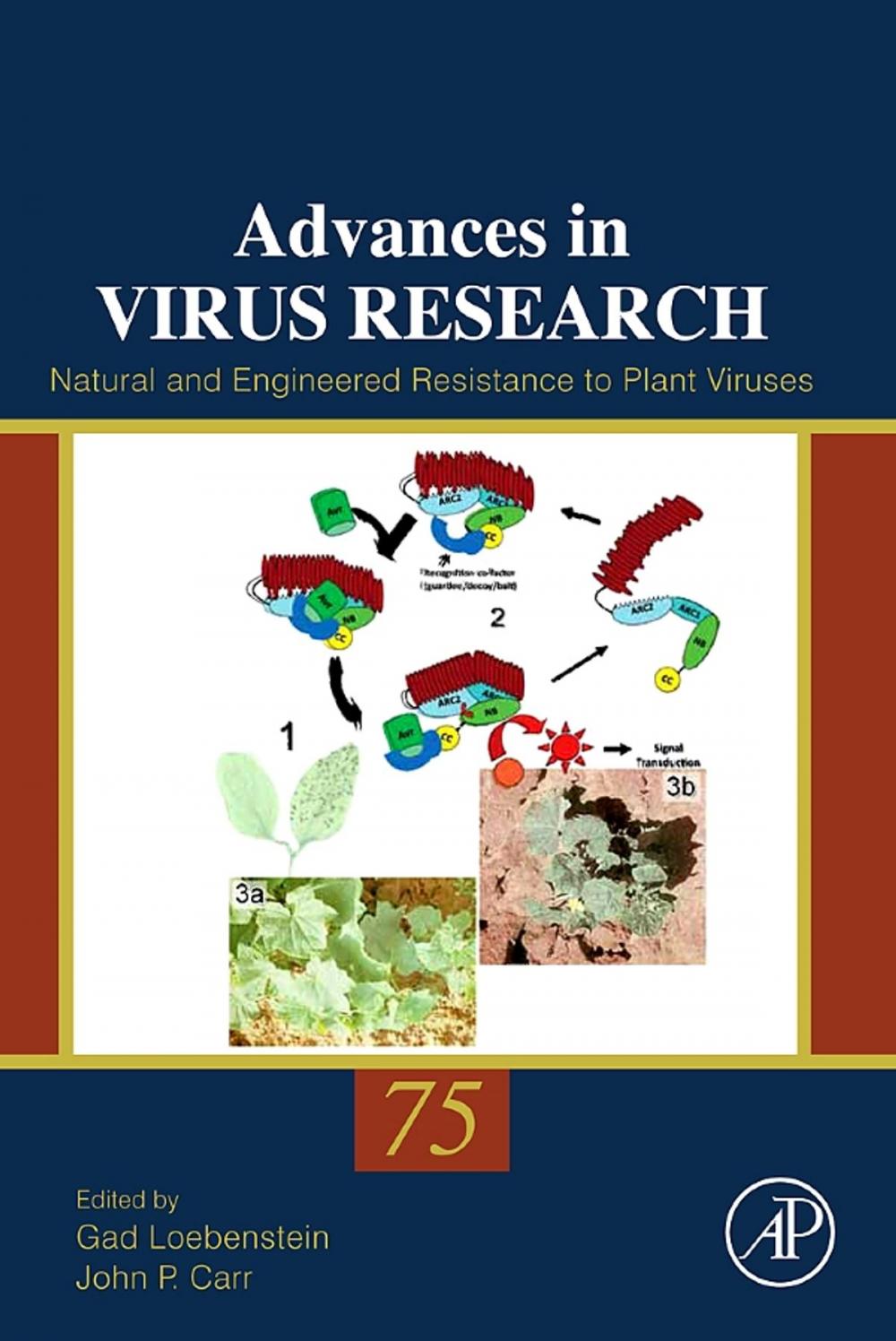 Big bigCover of Natural and Engineered Resistance to Plant Viruses