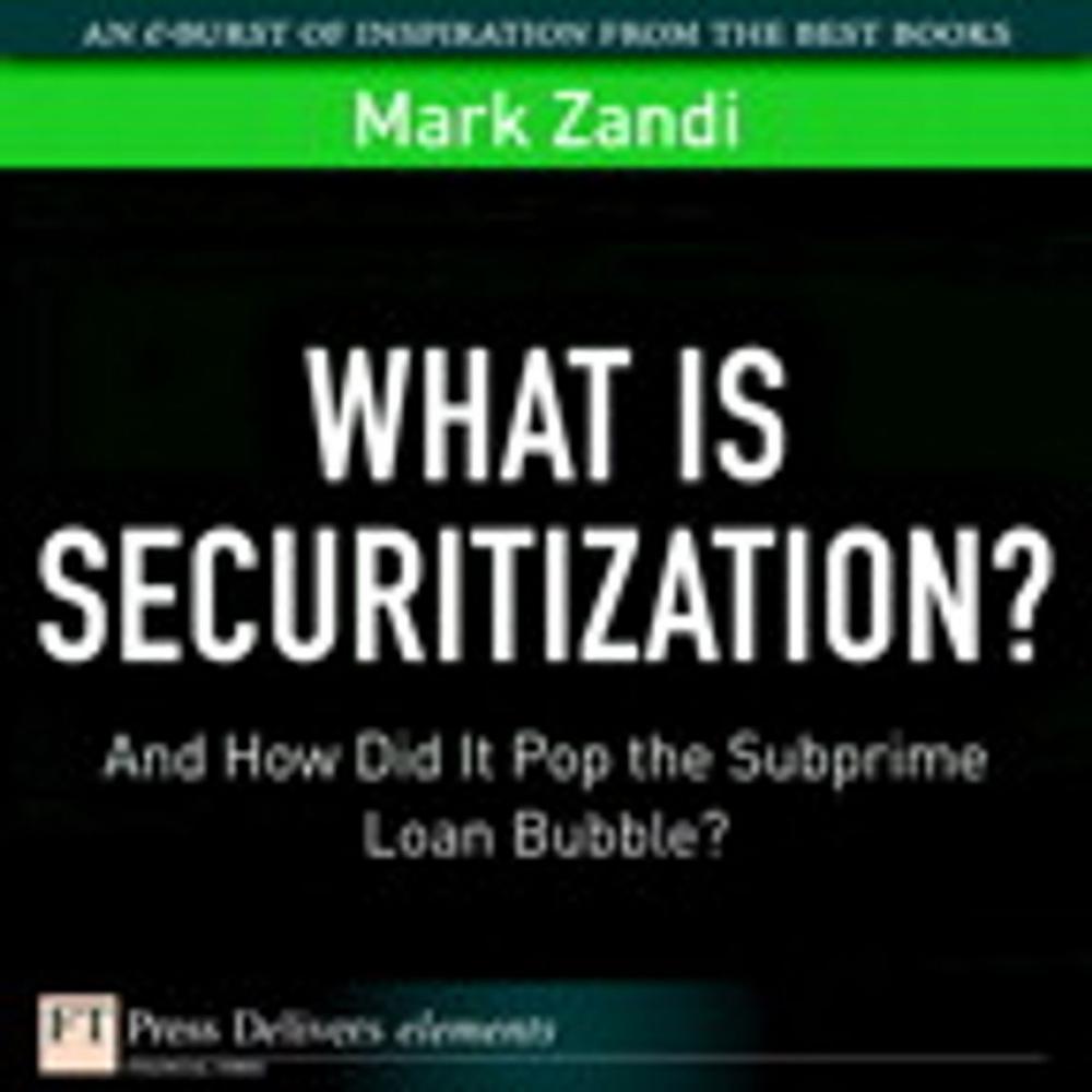 Big bigCover of What Is Securitization?