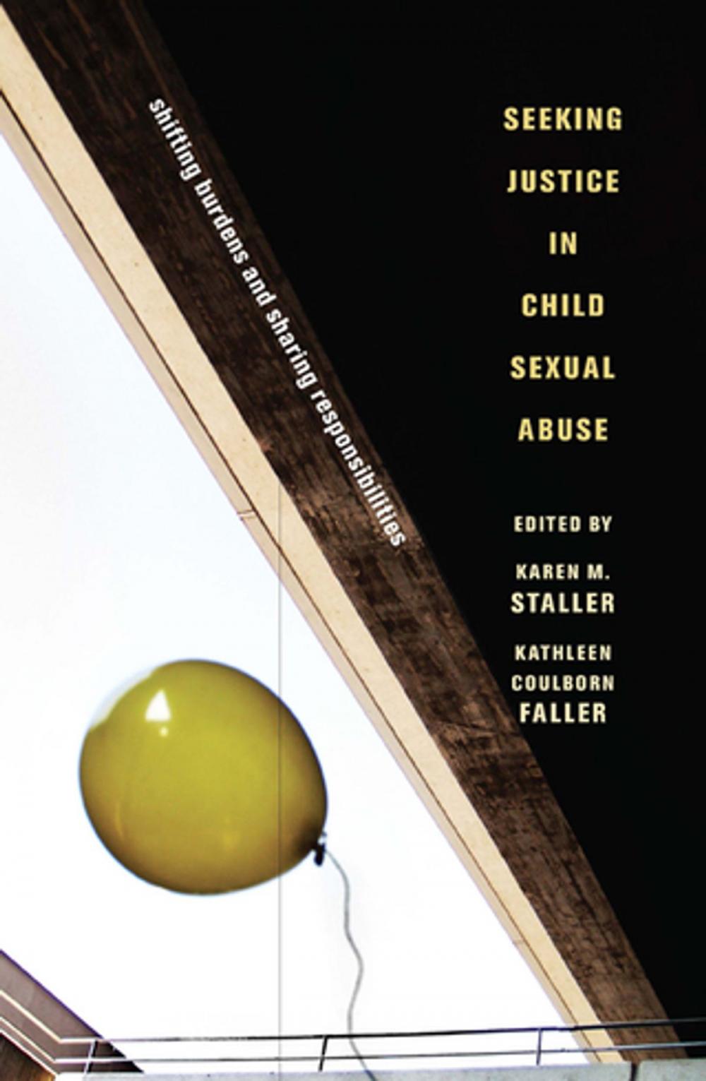 Big bigCover of Seeking Justice in Child Sexual Abuse