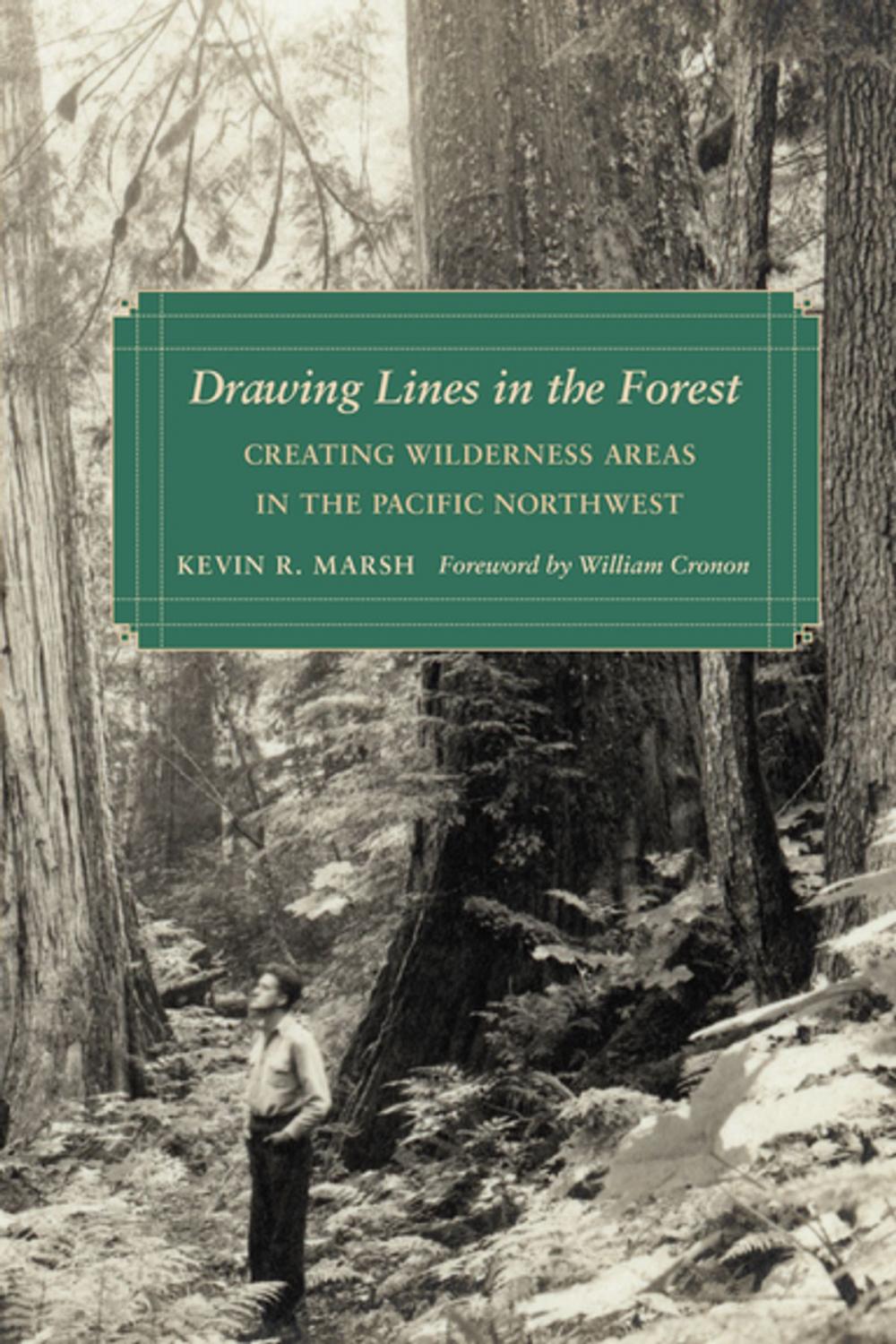 Big bigCover of Drawing Lines in the Forest