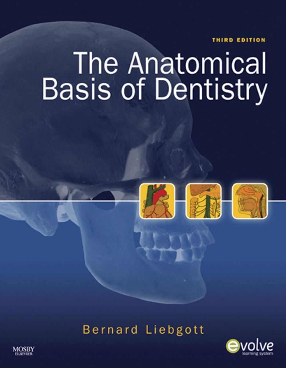 Big bigCover of The Anatomical Basis of Dentistry - E-Book