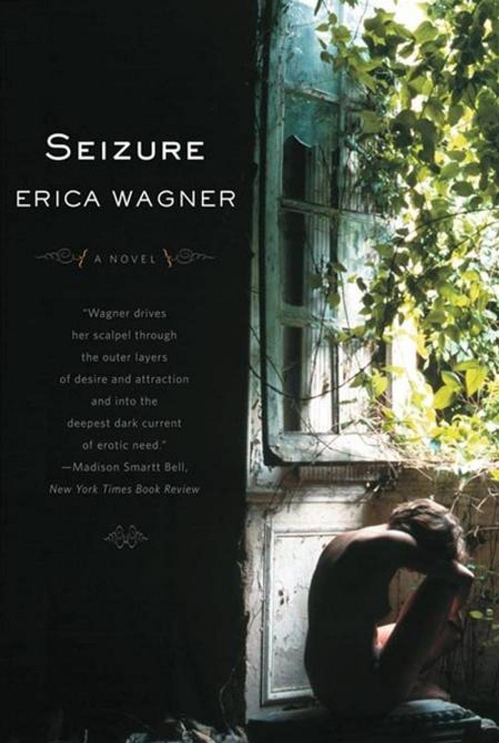 Big bigCover of Seizure: A Novel