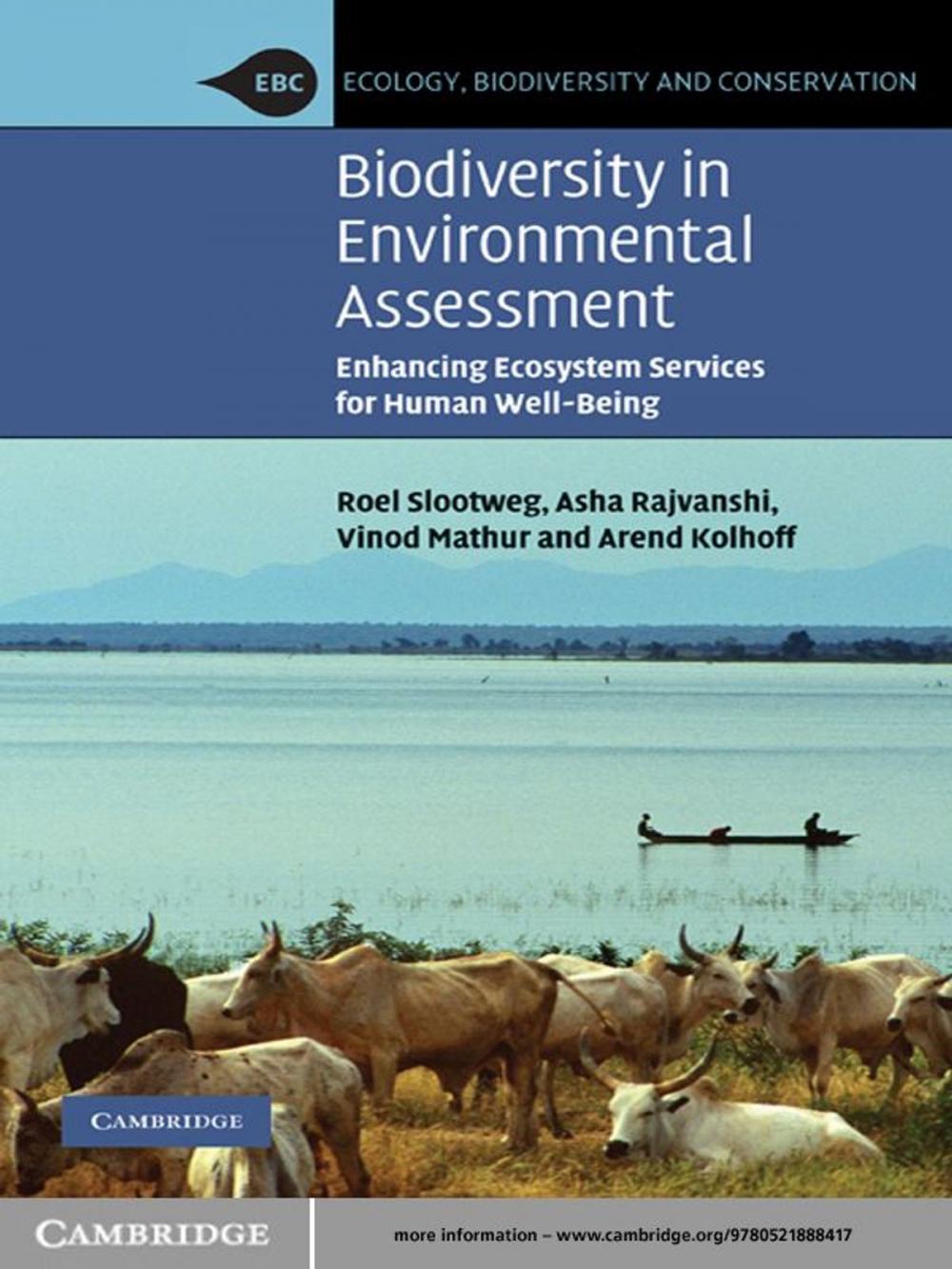 Big bigCover of Biodiversity in Environmental Assessment