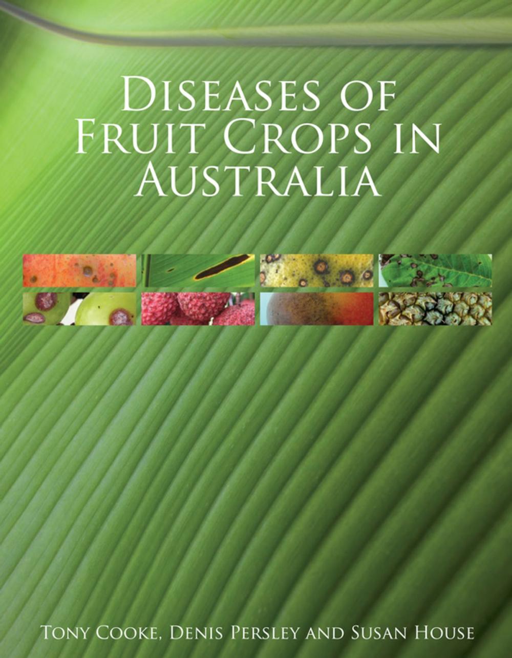 Big bigCover of Diseases of Fruit Crops in Australia