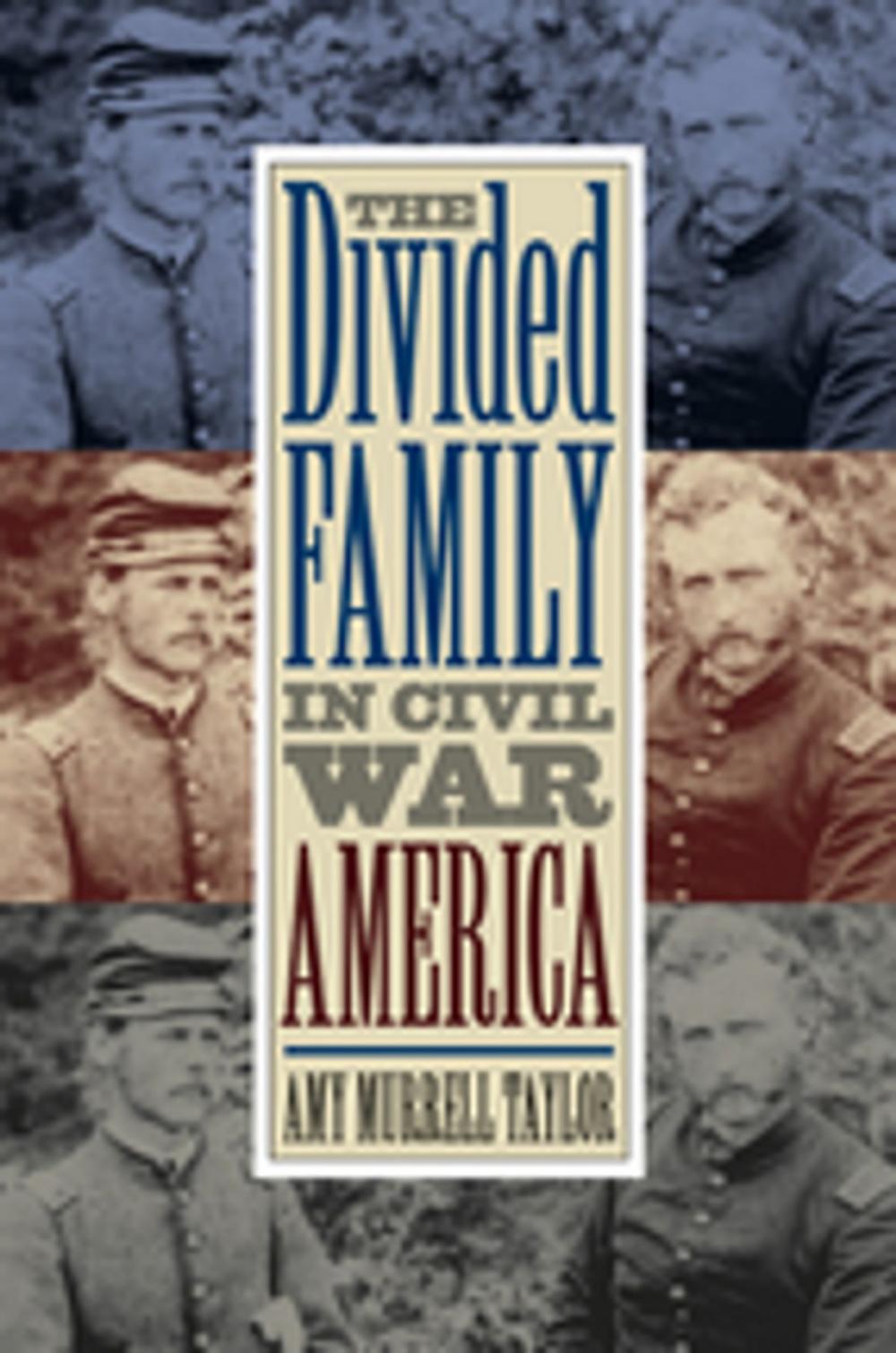 Big bigCover of The Divided Family in Civil War America