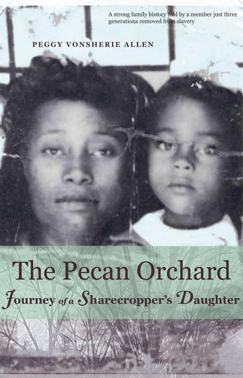 Big bigCover of The Pecan Orchard