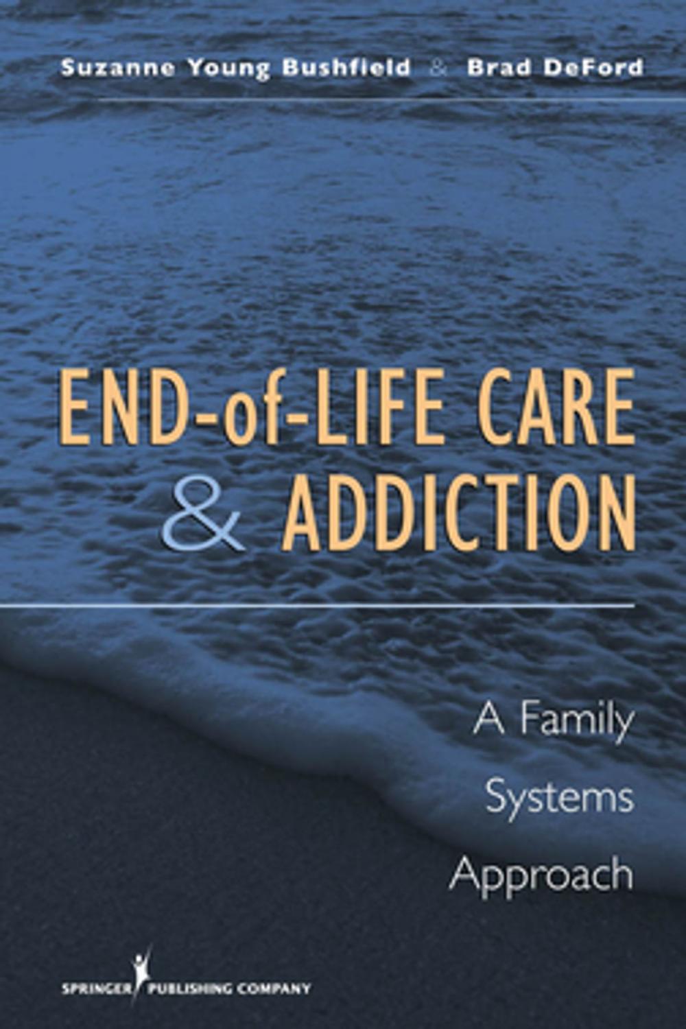 Big bigCover of End-of-Life Care and Addiction