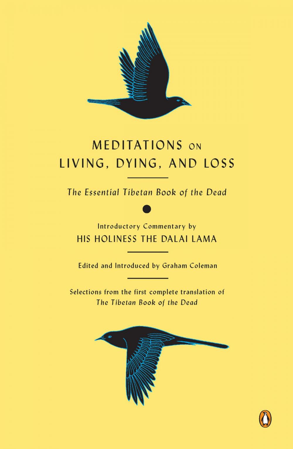 Big bigCover of Meditations on Living, Dying, and Loss