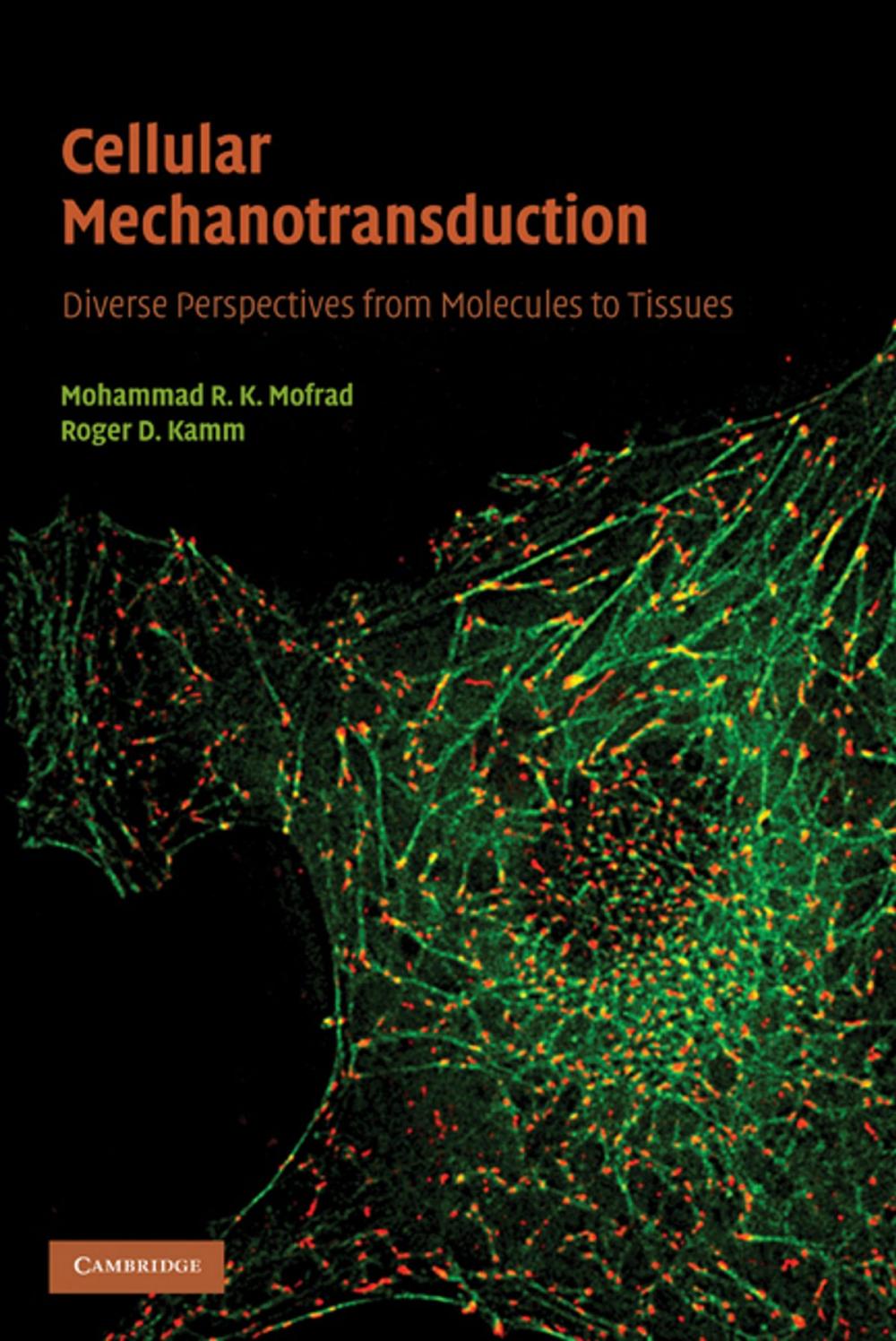 Big bigCover of Cellular Mechanotransduction